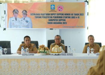 Wabup Soppeng Buka Pembinaan Pelaku dan Pemerintahan Desa/Kelurahan Penanganan Stunting