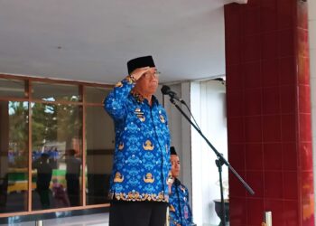 Inspektur Upacara HKN, Wakil Kota Parepare : Filosofi Dasar Hidup ASN adalah Pengabdian