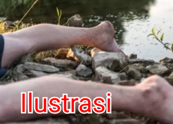 Luka di Kepala, Mayat Pria di Sidrap Ditemukan Telungkup di Parit Pinggir Jalan Raya