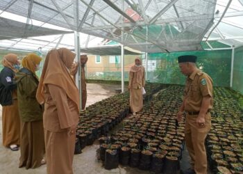 Parepare Optimis Menuju Verifikasi Kota Sehat Provinsi Sulsel, Tim Pembina Beri Catatan Penguatan ke Setiap Lokus