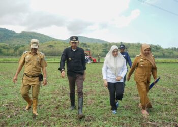 Pj Wali Kota Parepare : Mappalili Tradisi Adat Yang Patut Dilestarikan