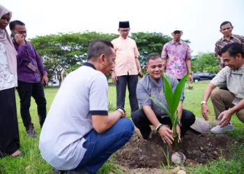 Manfaatkan Lahan Pekarangan Kantor Bupati, Pj Bupati Sinjai Tanam Pohon Kelapa