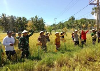 Vicom Pangdam XIV/Hasanuddin Bersama Dandim 1424 dan Pemkab Sinjai, Ini Yang Dibahas