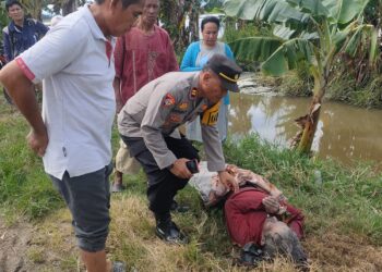 Lagi, Petani di Sidrap Ditemukan Meninggal Dunia di Areal Persawahan