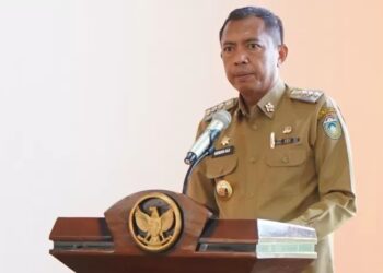Waspada DBD, Pj Wali Kota Parepare Imbau Masyarakat Bersihkan Lingkungan