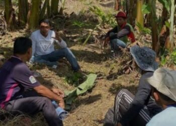 31 Ribu Hektare Lahan Tadah Hujan di Sidrap akan Dialiri Listrik, SAR: Bisa Tingkatkan Produksi Petani hingga Rp372 M Sekali Panen
