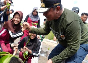 Komitmen Indonesia Nol Emisi Karbon 2060 Melalui Sulbar “Sepekan Menanam Mangrove”