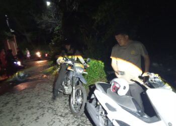 Kapolsek Ujung Bersama Anggota Amankan Pria Bersenjata Tajam, Ini Yang Ditebas