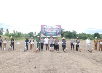 Kapolres Sidrap dan Forkopimda Kompak Tanam Jagung serentak di Desa Mario