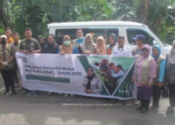 Virus PMK Merebak, Dinas PKP Parepare Pencegahan Canangkan Bulan Vaksinasi