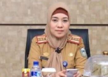 dr.Renny : Apresiasi Pegawai Teladan dan ASN Purna Tugas RSUD Andi Makkasau Parepare