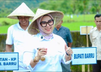 Bupati Andi Ina Mengawali Kegiatan Pertama, Tanam Jagung, di Desa Balusu Barru