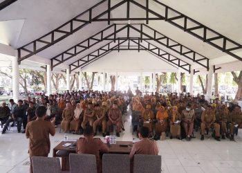 Koordinasi Penyuluh, Dinas TPHPKP Sidrap Mantapkan Langkah Dukung Swasembada Pangan