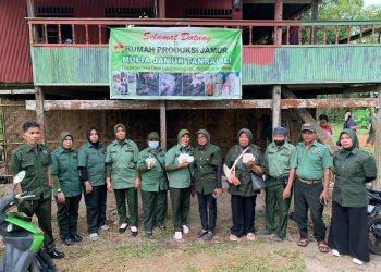 Panen Perdana Budidaya Jamur Tiram, di Dusun Sentosa. Ketua P3AD Sulsel Merasa Terharu