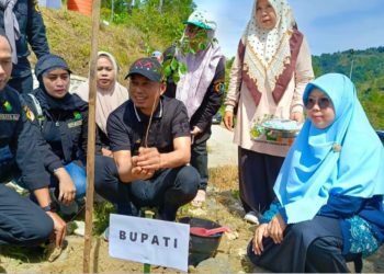 Peringati Hari Bumi 2025 Bupati Enrekang Tanam Pohon di Wisata Alam Buttu Macca