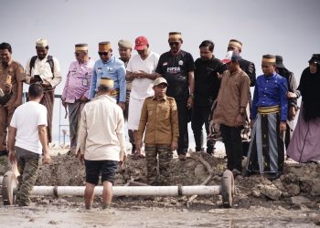 Tanam Perdana MT Kedua, Bupati Sidrap Ikut Turun Sawah Sama Petani