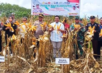 Kapolri Apresiasi Kolaboratif Kapolres Enrekang via Zoom VC Panen Raya Jagung Serentak