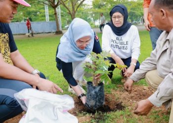 Pohon Aju Berru Miliki Nilai Historis dan Filosofis, Inimi di Kabupaten Barru