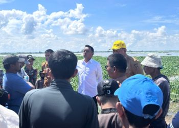 Sawah Petani Terendam, Bupati Sidrap Turun Langsung Cek Lokasi