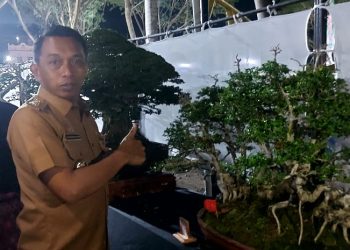 Bupati Apresiasi Pameran Bonsai di Monumen Ganggawa