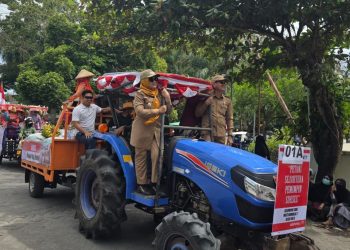 Karnaval Brigade Pangan di Sidrap: Semarakkan HUT RI, Gelorakan IP300