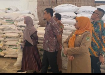 Pemkot Pagar Alam Studi Tiru ke Sidrap, Tinjau Langsung Peternakan Ayam Petelur di Tanete