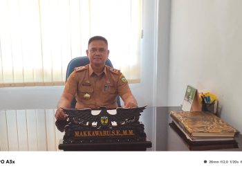 Gerakan Pangan Murah 50 Ton Sudah Tersalurkan, di Kabupaten Luwu