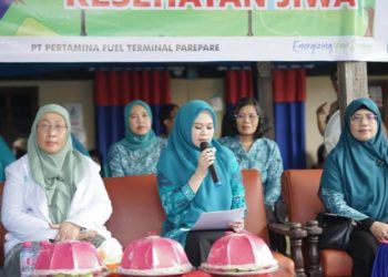 PKK Parepare Apresiasi Peluncuran Posyandu Jiwa, Serukan Penghapusan Stigma ODGJ