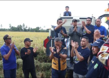 Panen Raya di Watang Sidenreng, Bupati Sidrap Apresiasi Kerja Keras Petani