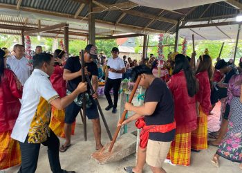 Syaharuddin Alrif Hadiri Mappadendang Aka-Akae, Ungkap Lonjakan Hasil Panen
