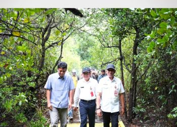Kawasan Mangrove Belaga One Dipilih Menjadi Lokasi Workshop Ekowisata Mangrove dan Sosialisasi Rehabilitasi Ekosistem Mangrove