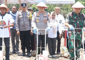 Dukung Swasembada Pangan, Kapolres Sidrap Tanam Jagung Kuartal IV 2025