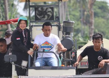 Sidrap Siap ‘Tancap Gas’: Dari Urutan 23 ke Papan Atas Penghasil Beras Nasional!