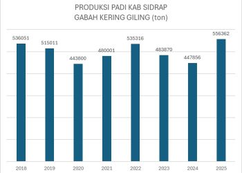 Urutan Ketiga di Sulsel, Produksi Padi Sidrap 2025 Alami Peningkatan Signifikan