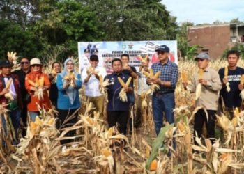 Kolaborasi Pertanian Unhas – Parepare: Panen Perdana jadi Langkah Awal Kesejahteraan Petani