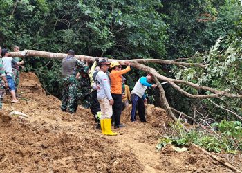 TRC BPBD Sidrap Tinjau Longsor di Leppangeng, 384 KK Terdampak