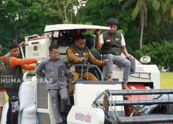 Operasikan Combine Harvester, Bupati Syaharuddin Panen IP 300 di Desa Mario