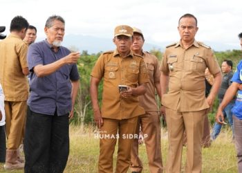 Bupati Sidrap Tinjau Pertanian dan Kawasan Transmigrasi di Pitu Riase