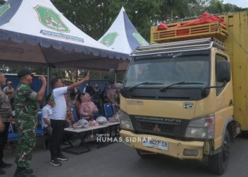 Sidrap Kirim Puluhan Ton Telur ke Kalimantan, Sultra, dan Makassar untuk Dukung MBG