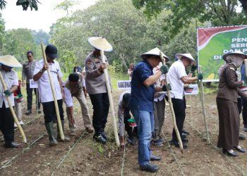 Target Produksi jagung di 2026, Saat ini Polda Sulsel Sudah Menanam Jagung di Lahan 812 Hektar