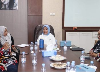 Wujudkan Perpustakaan Adaptif di Era Digital, Pemkab Sidrap Perkuat Sinergi dengan Provinsi