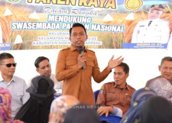 Panen di Wala, Bupati Sidrap Semangati Petani Kejar Target 10 Ton