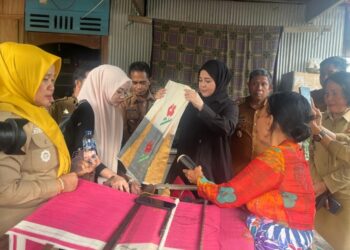 Wakil Gubernur Sulsel Dorong Eksistensi Tenun Lipa Sabbe Sidrap