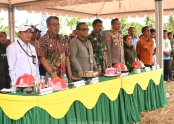 Sidrap Sukseskan Percepatan Tanam di Lokasi Cetak Sawah Rakyat