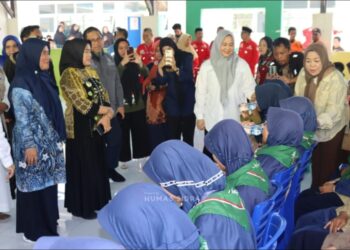 Fatmawati Rusdi Tekankan Sinergi Program ASRI dalam Kunjungan Kerja di Sidrap