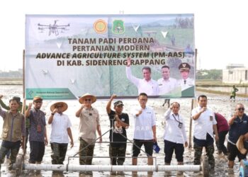 Pemkab Malinau Lakukan Studi Tiru Pertanian Modern di Sidrap
